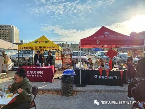 中国城2.jpg